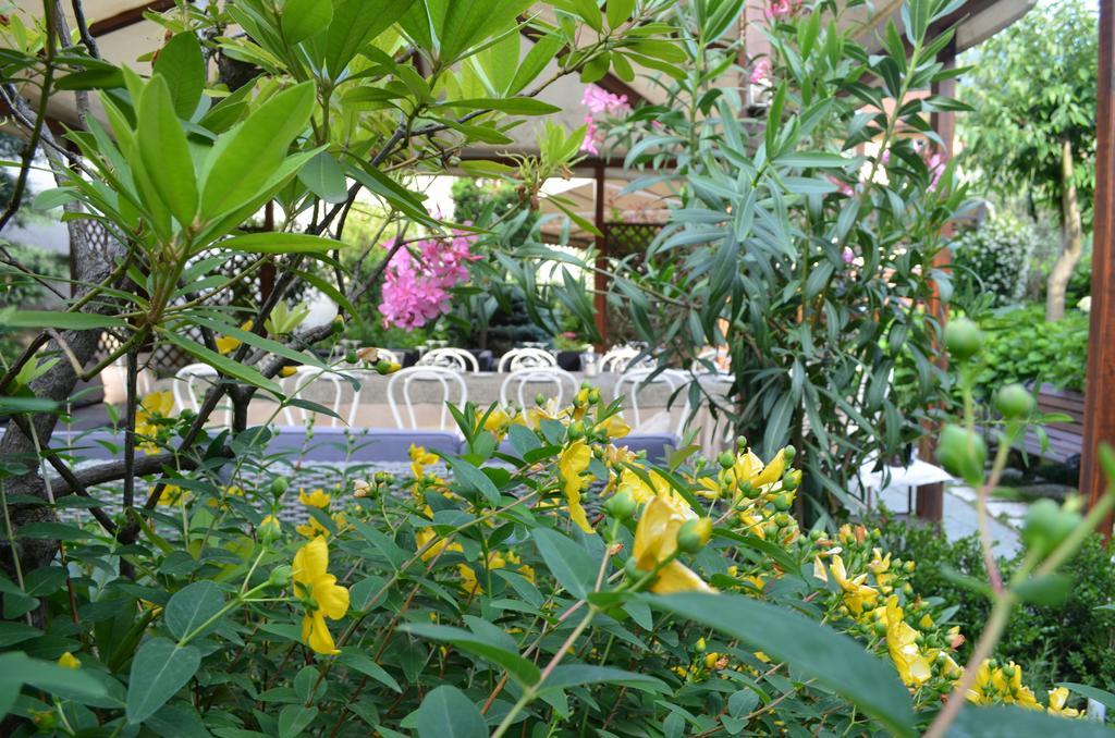 Albergo Giardino Cernobbio Exterior photo